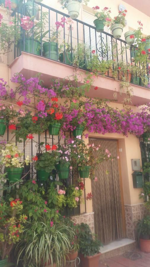 Puerto Deportivo Estepona Luaran gambar